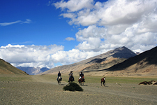 India-Ladakh-Himalaya Horse Safari